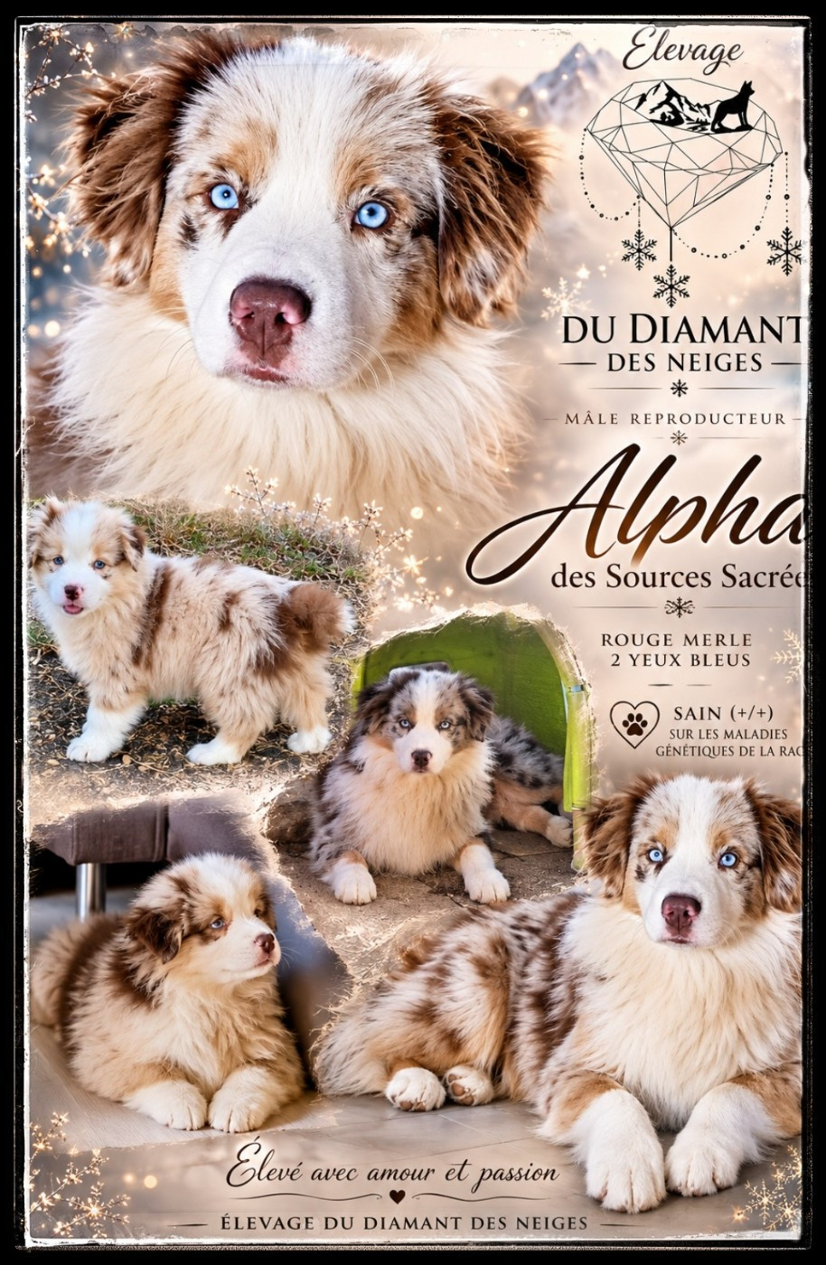 Alpha Des sources sacrees