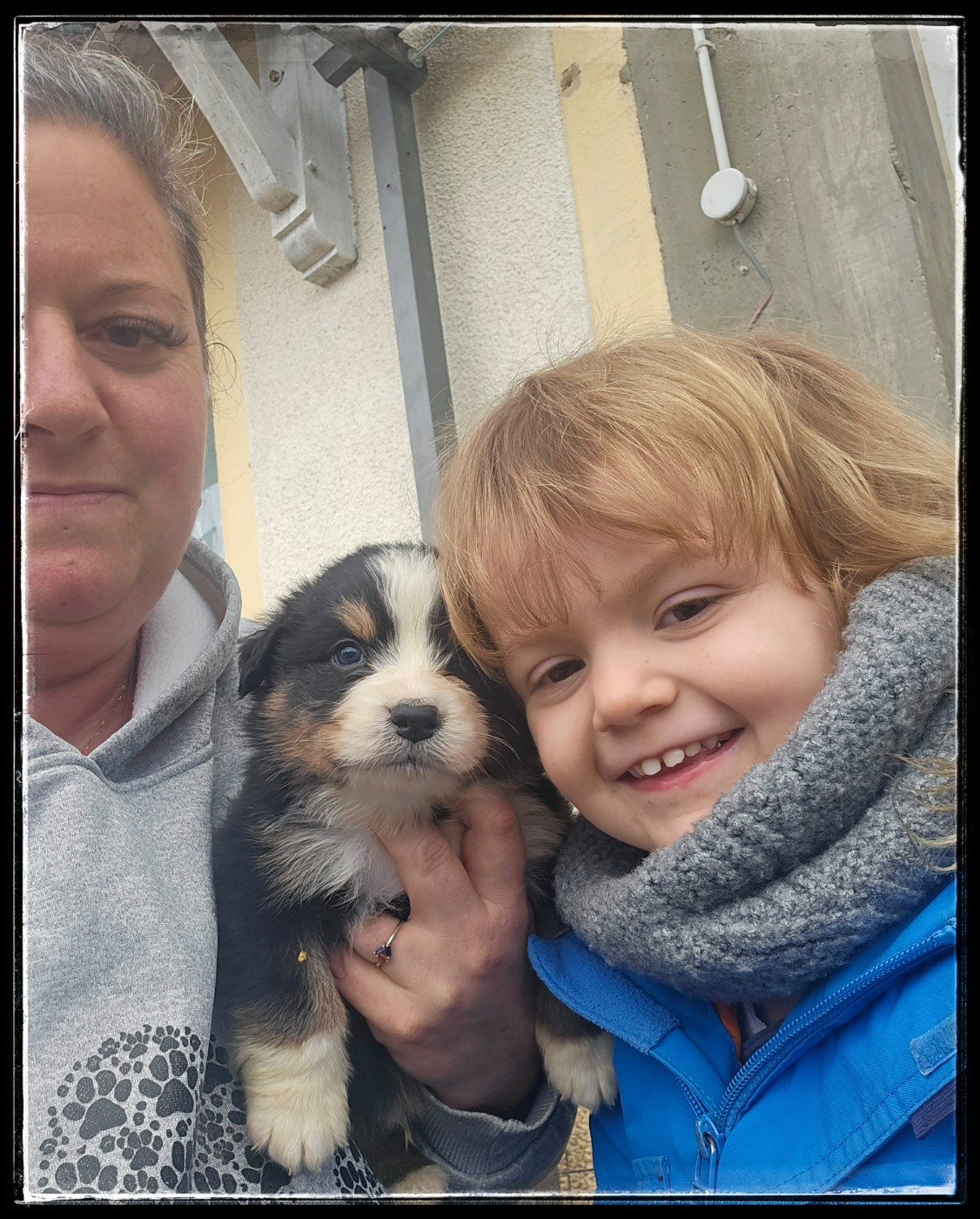 Dernière portée en australien